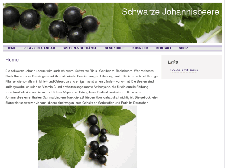 www.schwarzejohannisbeere.com