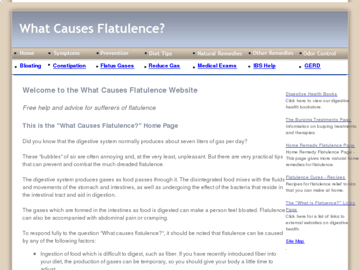 www.what-causes-flatulence.com