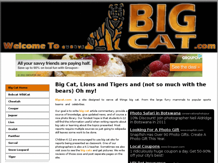 www.bigcat.com