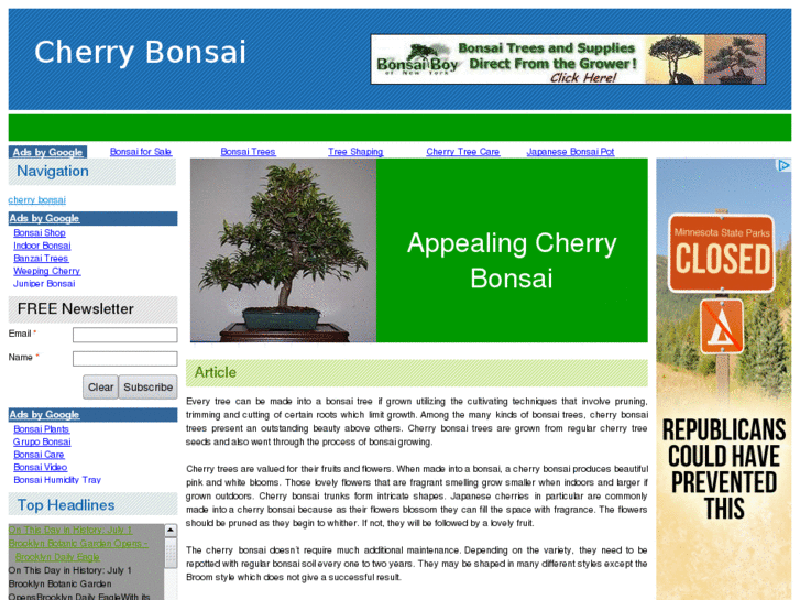 www.cherrybonsai.com