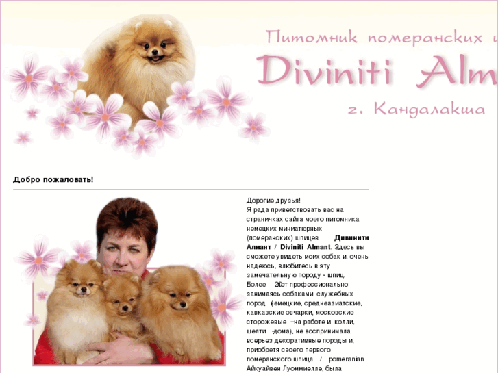 www.diviniti-almant.ru