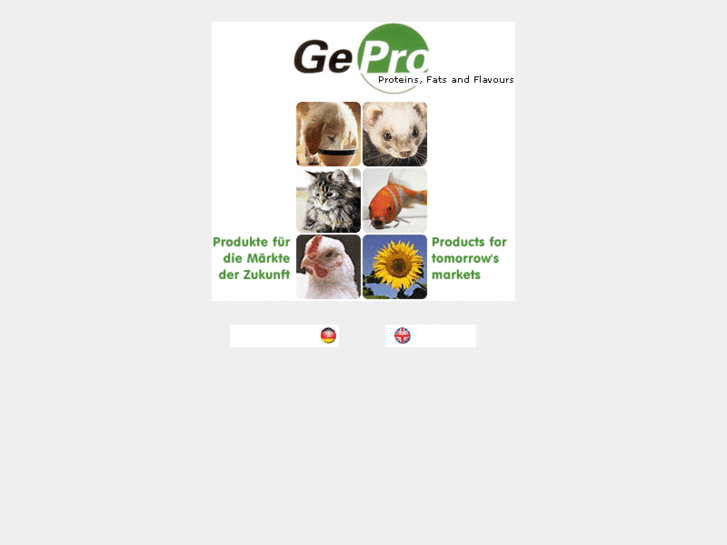 www.ge-pro.com