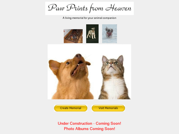 www.pawprintsfromheaven.com