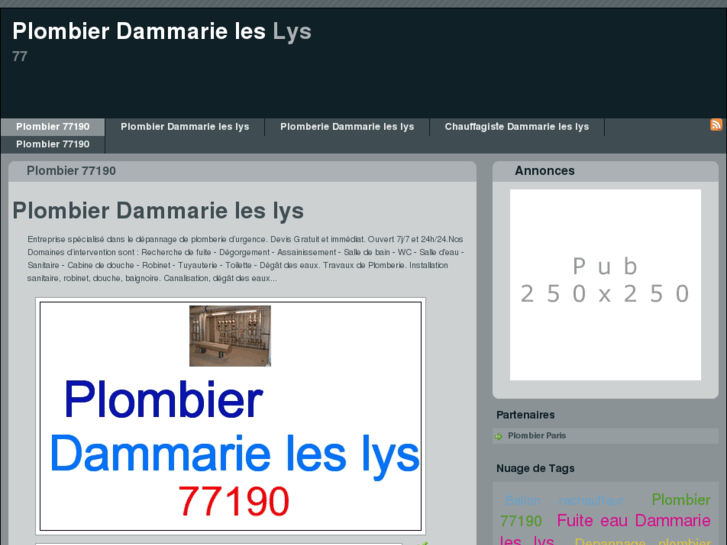 www.plombierdammarieleslys.fr