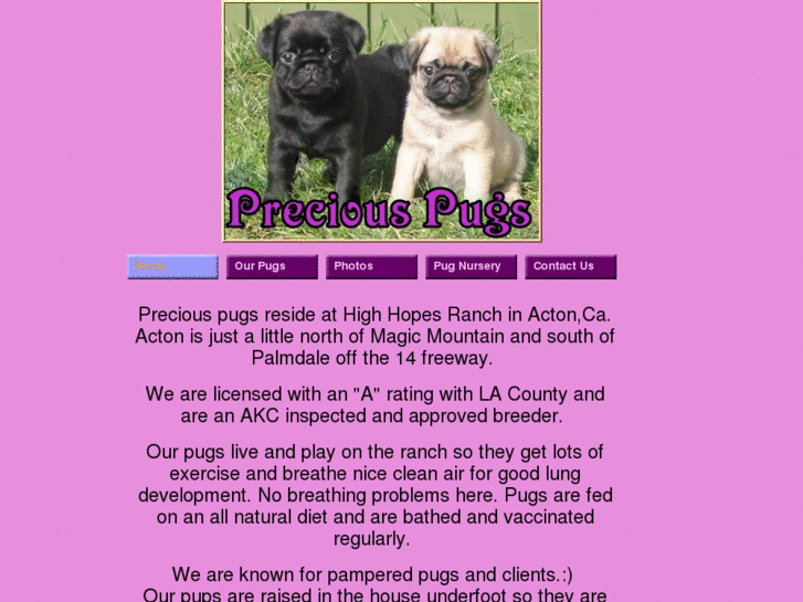 www.preciouspugs.net