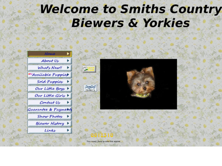 www.smithscountrybiewersandyorkies.com