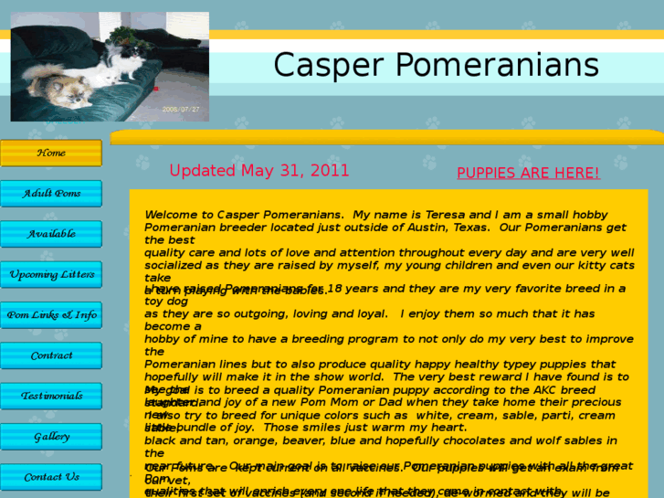 www.casperpomeranions.com