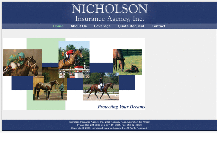 www.nicholsoninsurance.com