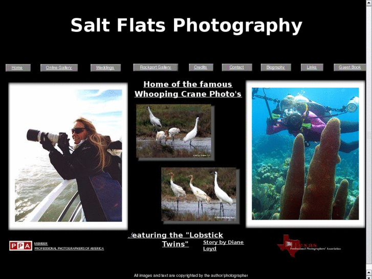 www.saltflatsgallery.com