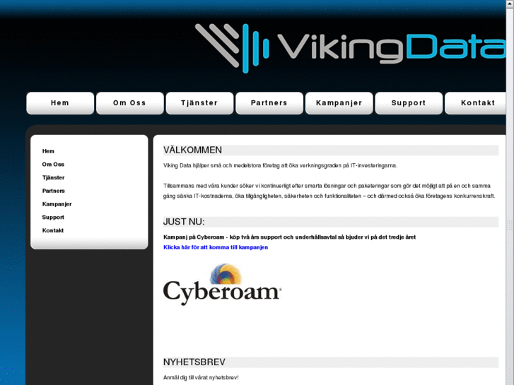 www.vikingdata.com