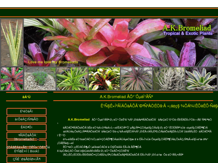 www.akbromeliad.com