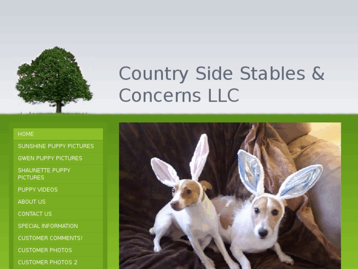 www.csscllc.net