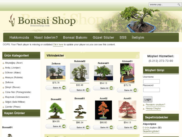 www.istanbulbonsai.com