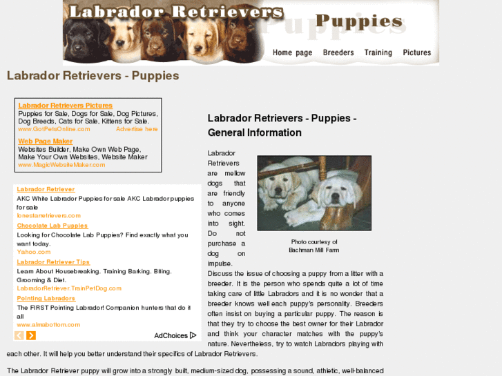 www.labrador-retrievers-puppies.com