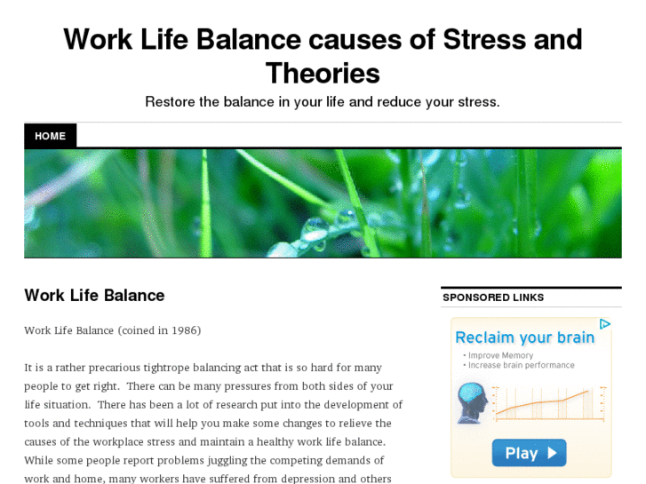 www.worklifebalanceprogram.com