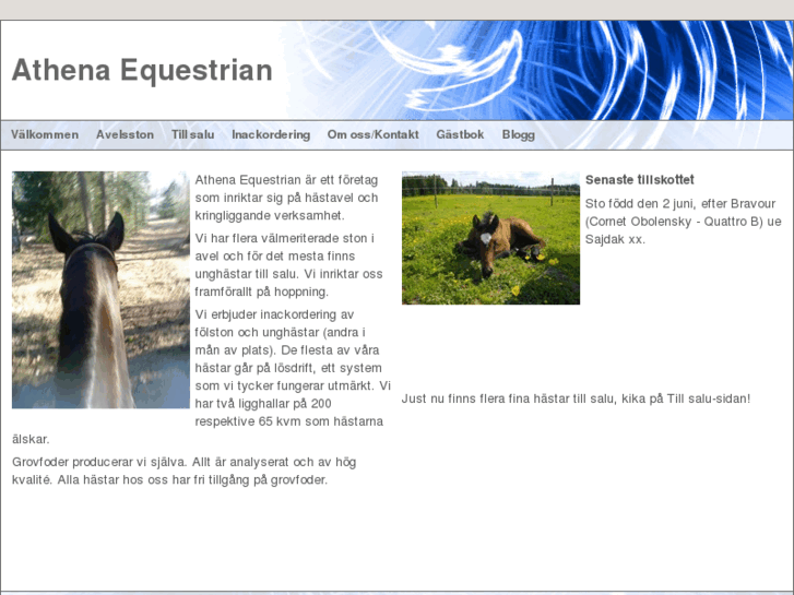 www.athenaequestrian.com