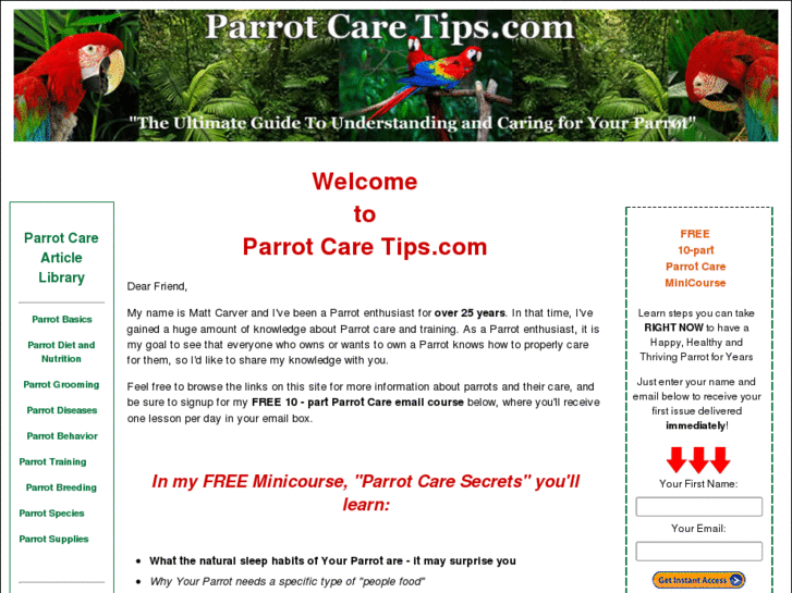 www.parrotcaretips.com