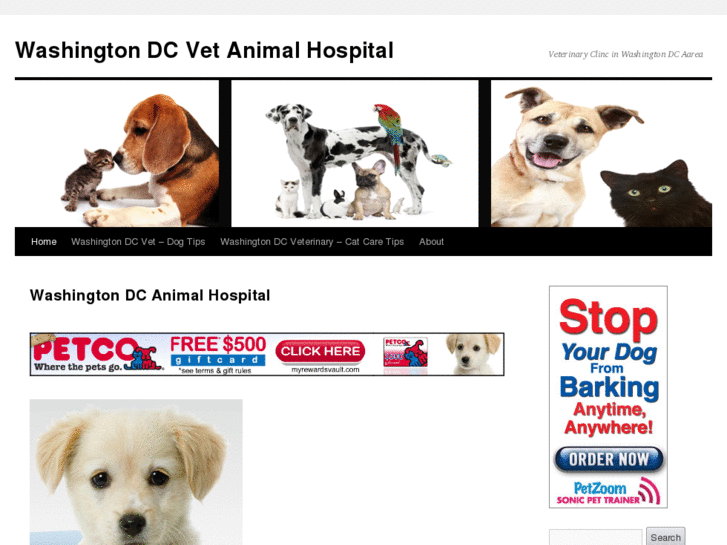 www.washingtonvetanimalhospital.com
