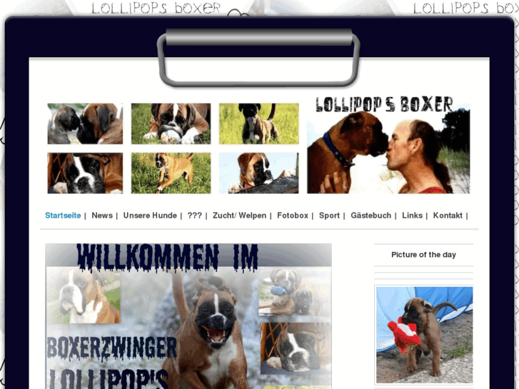 www.boxerzucht.net