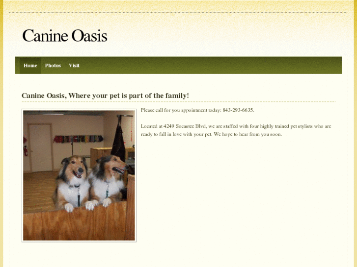 www.canineoasis.com