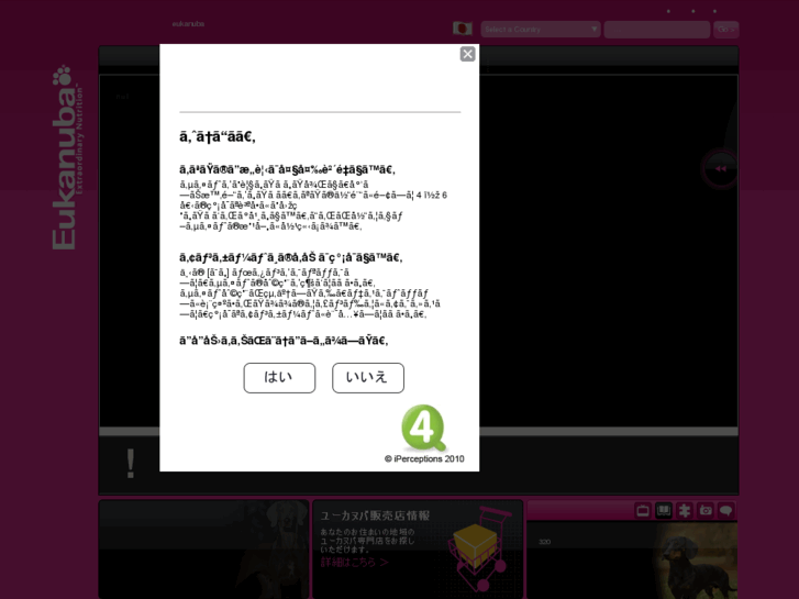 www.eukanuba.jp