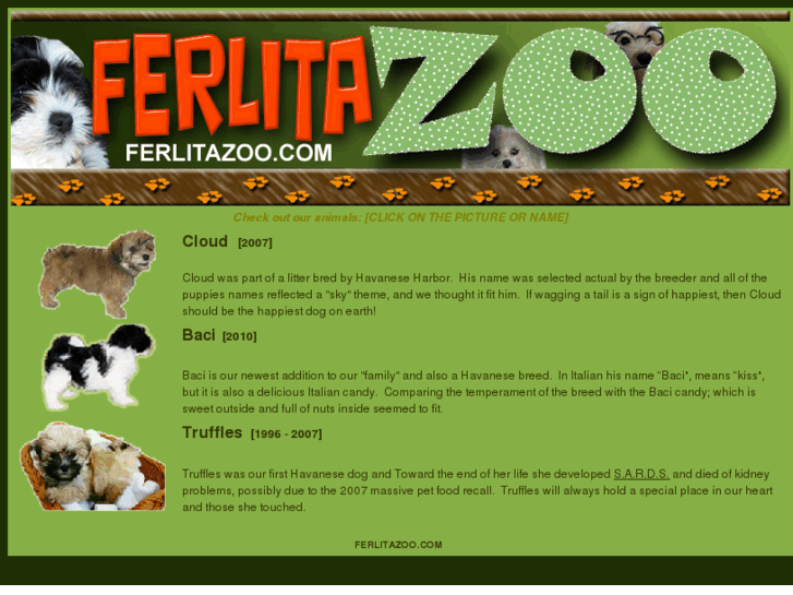 www.ferlitazoo.com