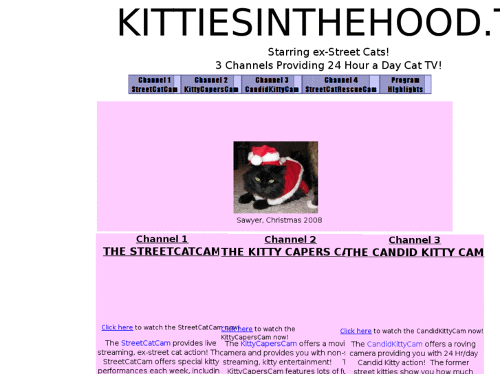 www.kittiesinthehood.tv