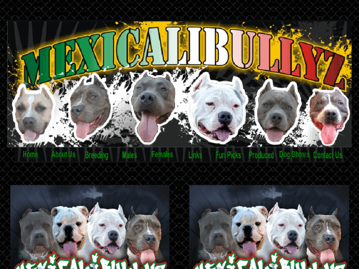 www.mexicalibullyz.com