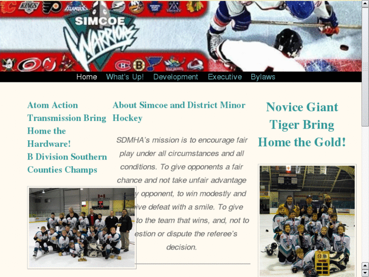 www.simcoeminorhockey.com