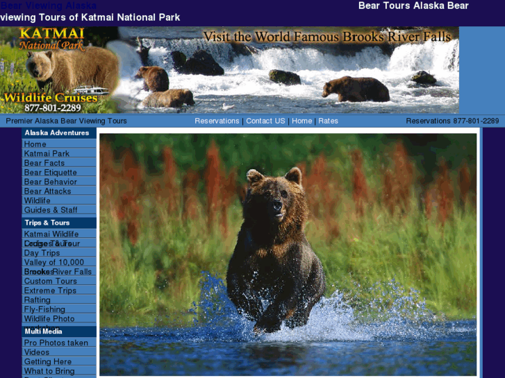 www.alaska-bear-viewing.net