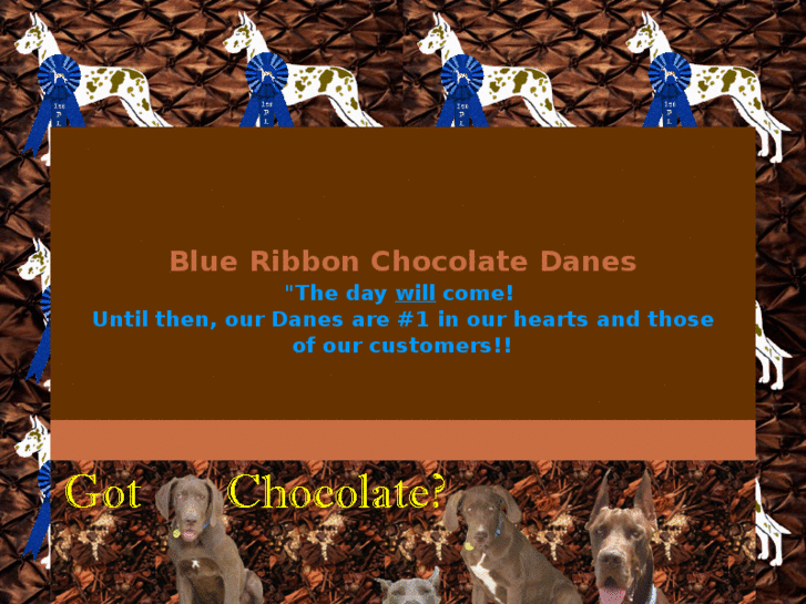 www.blueribbonchocolatedanes.com