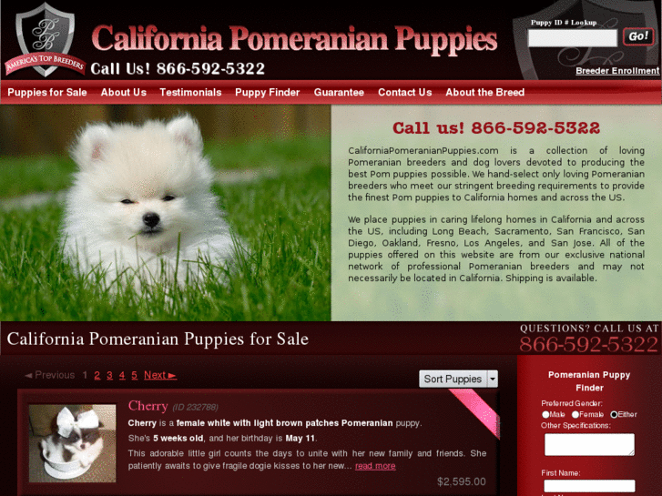 www.californiapomeranianpuppies.com