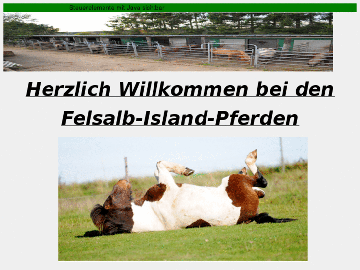 www.felsalb-island-pferde.com