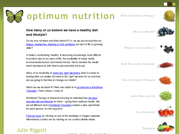 www.optimum-nutrition.com