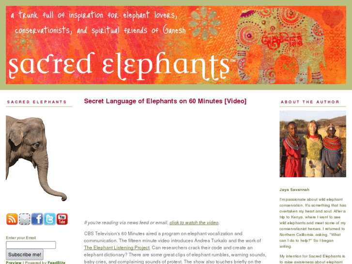 www.sacredelephants.com