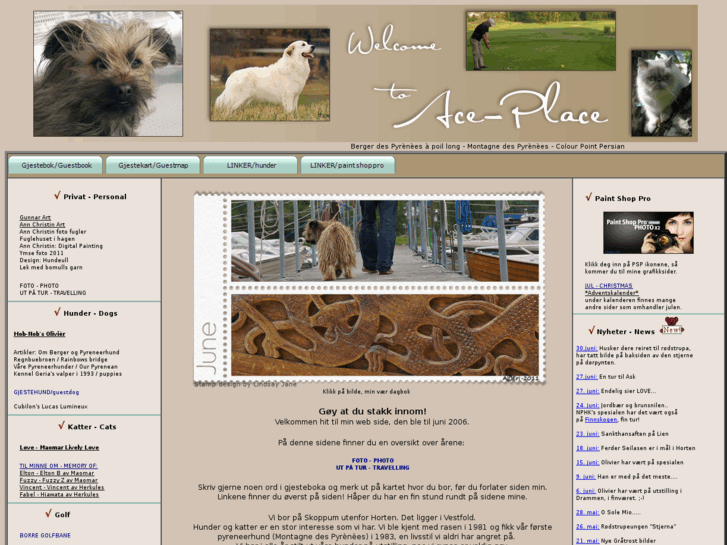 www.ace-place.net