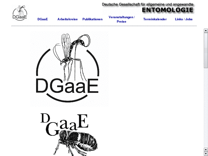 www.dgaae.de