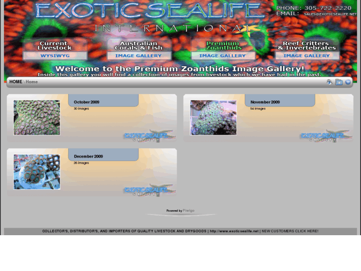 www.premiumzoas.com