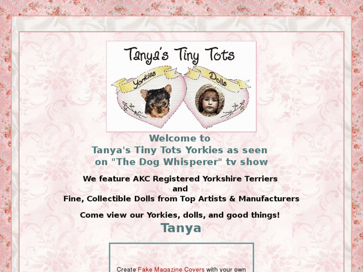 www.tanyastinytots.com