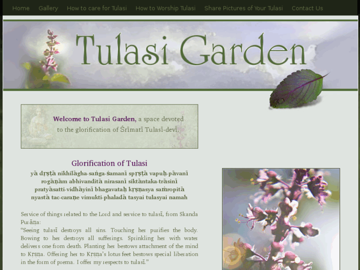 www.tulsigarden.com