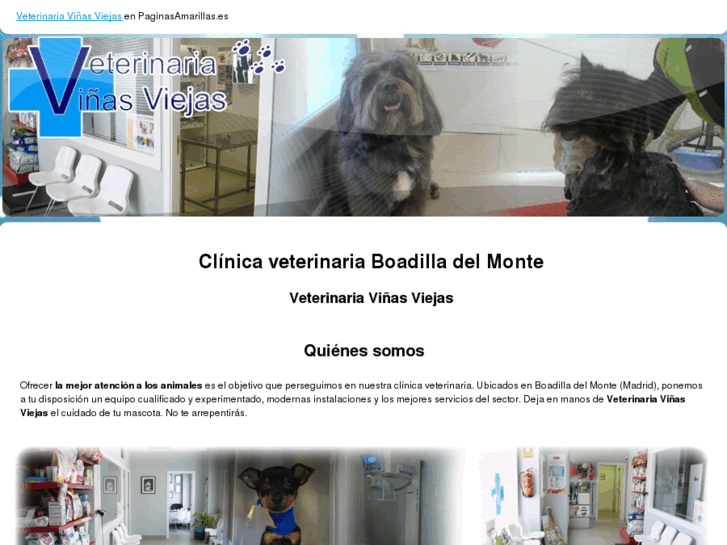 www.veterinariavinasviejas.com