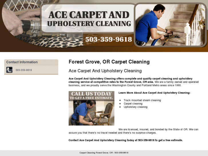 www.acecarpetandupholsterycleaning.com