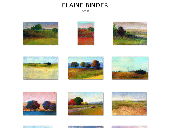 www.elainebinder.com