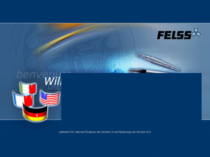 www.felss.de