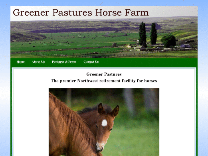 www.greenerpastureshorsefarm.com