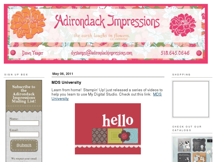 www.adirondackimpressions.com