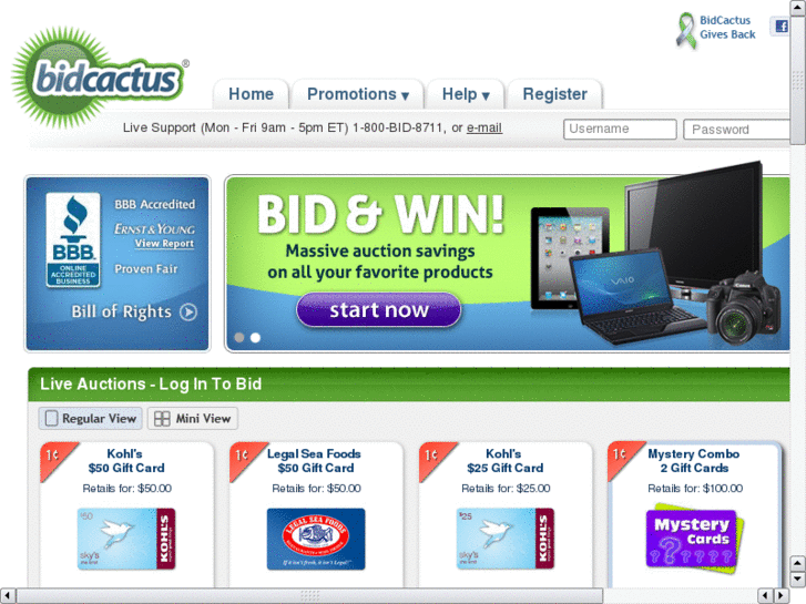 www.bid-cactus.com