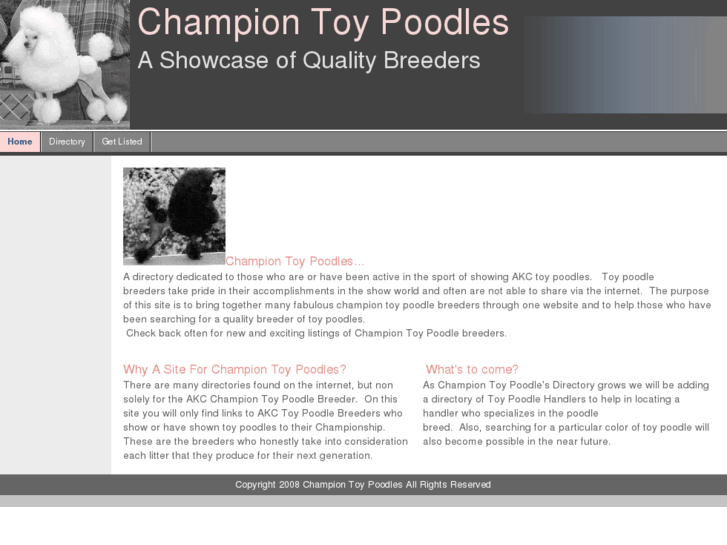 www.championtoypoodles.com