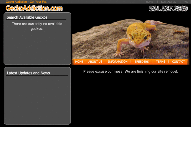 www.geckoaddiction.com