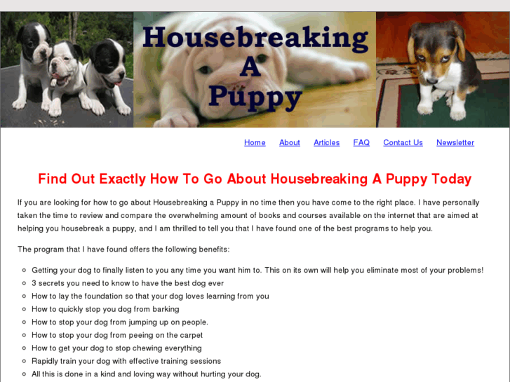 www.housebreakingapuppysecrets.com